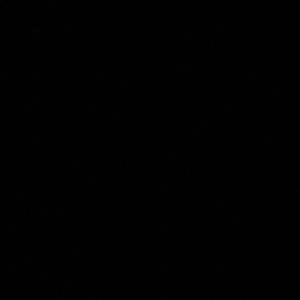 Meet your Posher, Francesca